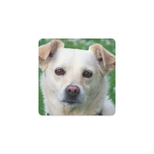 Dog face close-up Square Coaster