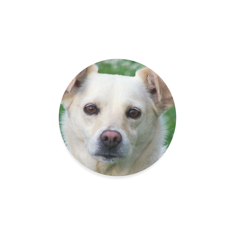 Dog face close-up Round Coaster