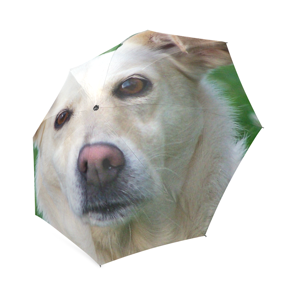 Dog face close-up Foldable Umbrella (Model U01)