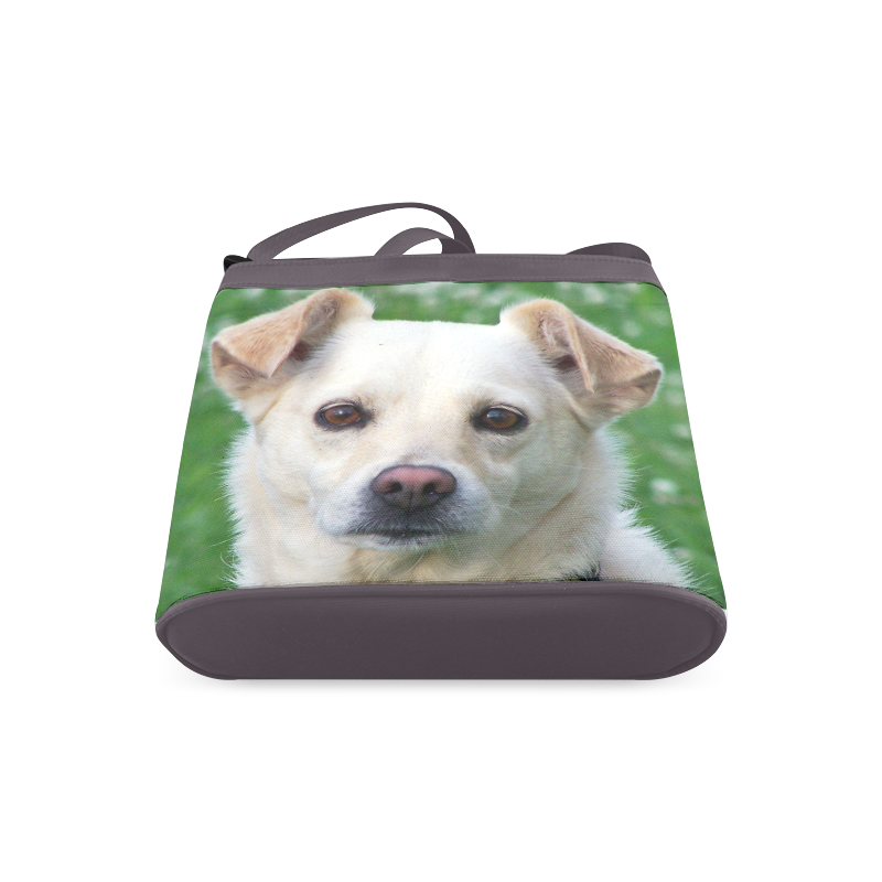 Dog face close-up Crossbody Bags (Model 1613)
