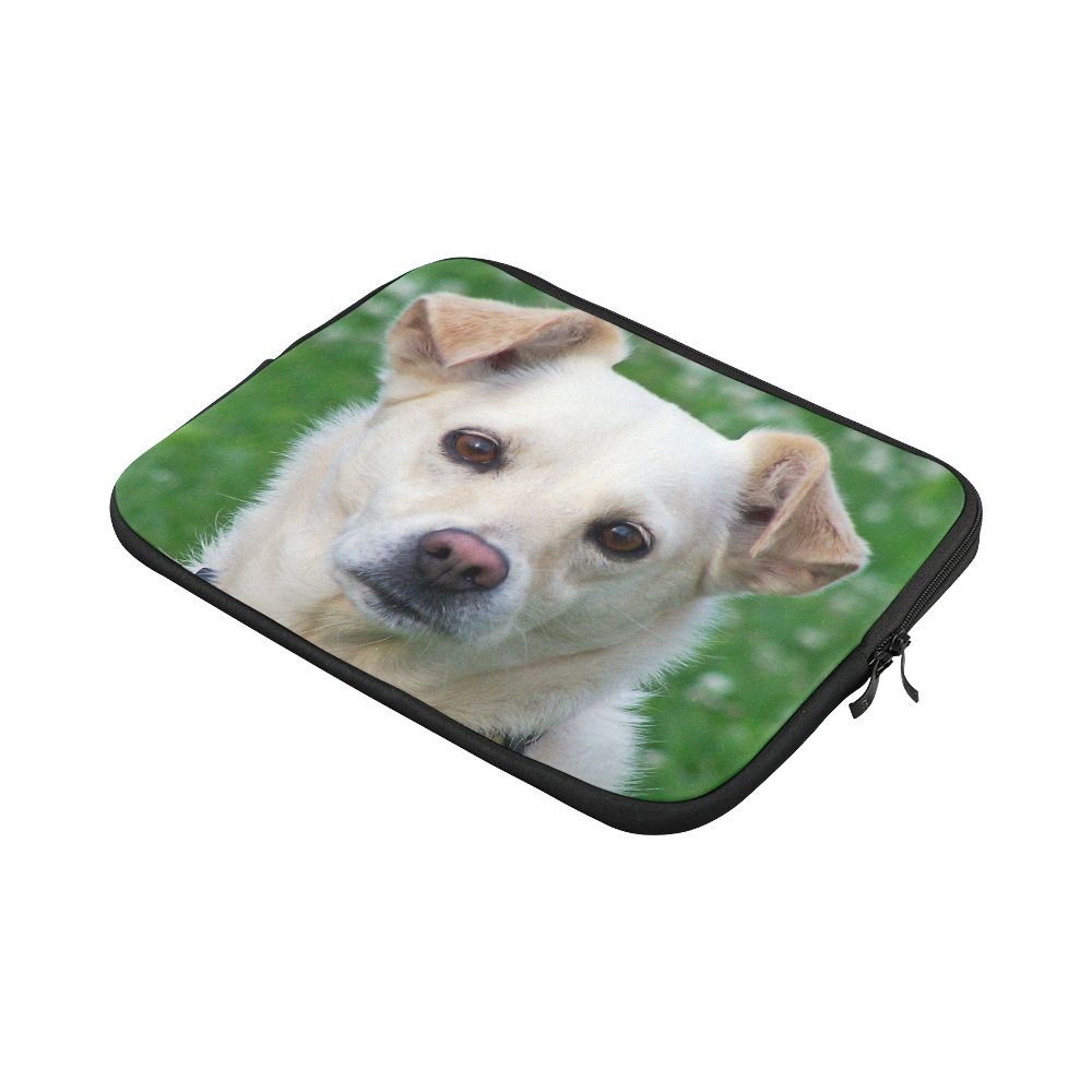 Dog face close-up Macbook Pro 11''