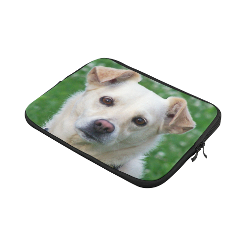 Dog face close-up Macbook Pro 11''