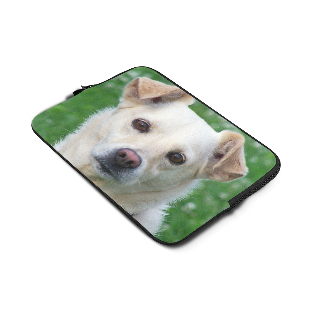 Dog face close-up Macbook Air 13"