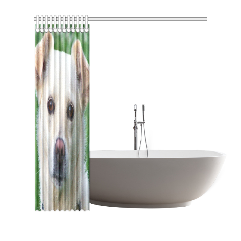 Dog face close-up Shower Curtain 72"x72"