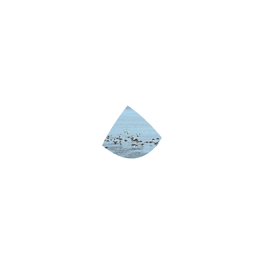 Flock Off Custom Bikini Swimsuit ID D168615