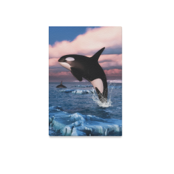 Killer Whales In The Arctic Ocean Canvas Print 12"x18"
