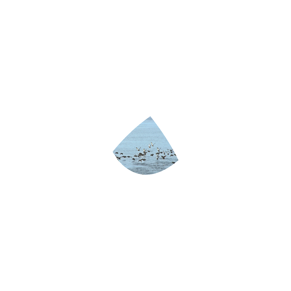 Flock Off Custom Bikini Swimsuit ID D168615