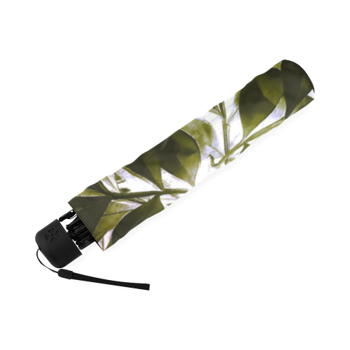Foliage #4 - Jera Nour Foldable Umbrella (Model U01)