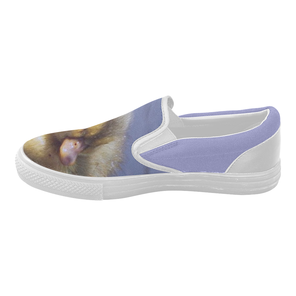 duck baby Women's Slip-on Canvas Shoes (Model 019)