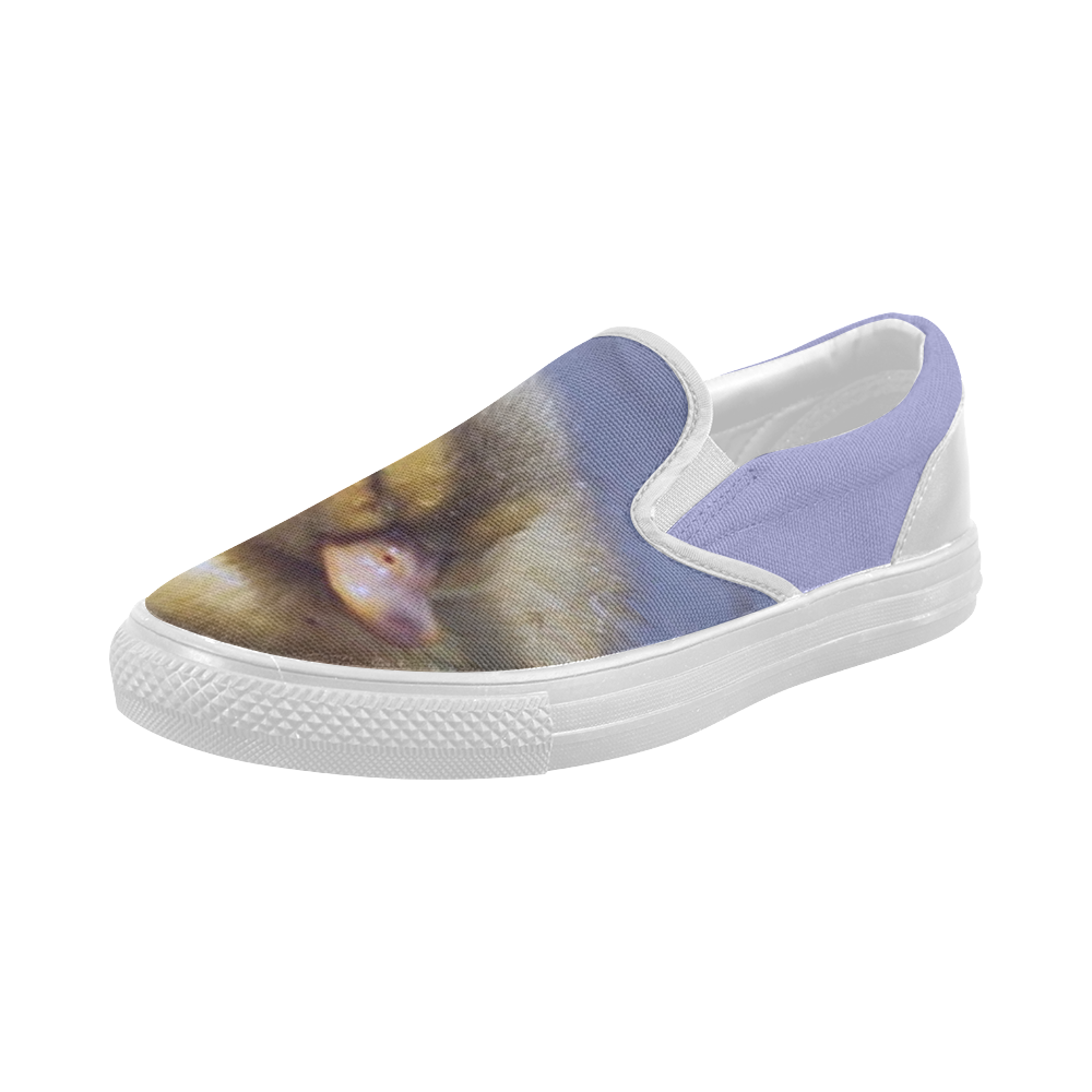 duck baby Women's Slip-on Canvas Shoes (Model 019)