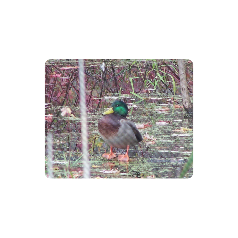 Mallard Drake Rectangle Mousepad