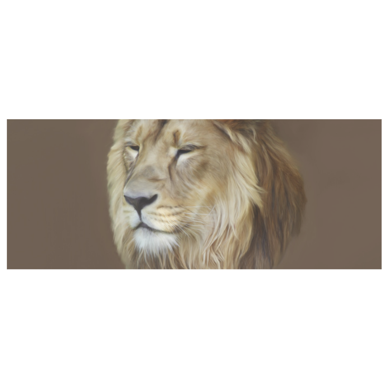 A magnificent painting Lion portrait White Mug(11OZ)