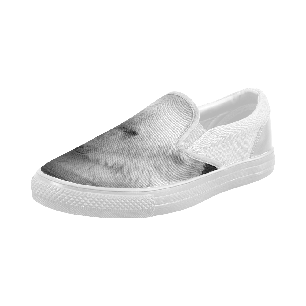 Polar Baer Women's Slip-on Canvas Shoes (Model 019)
