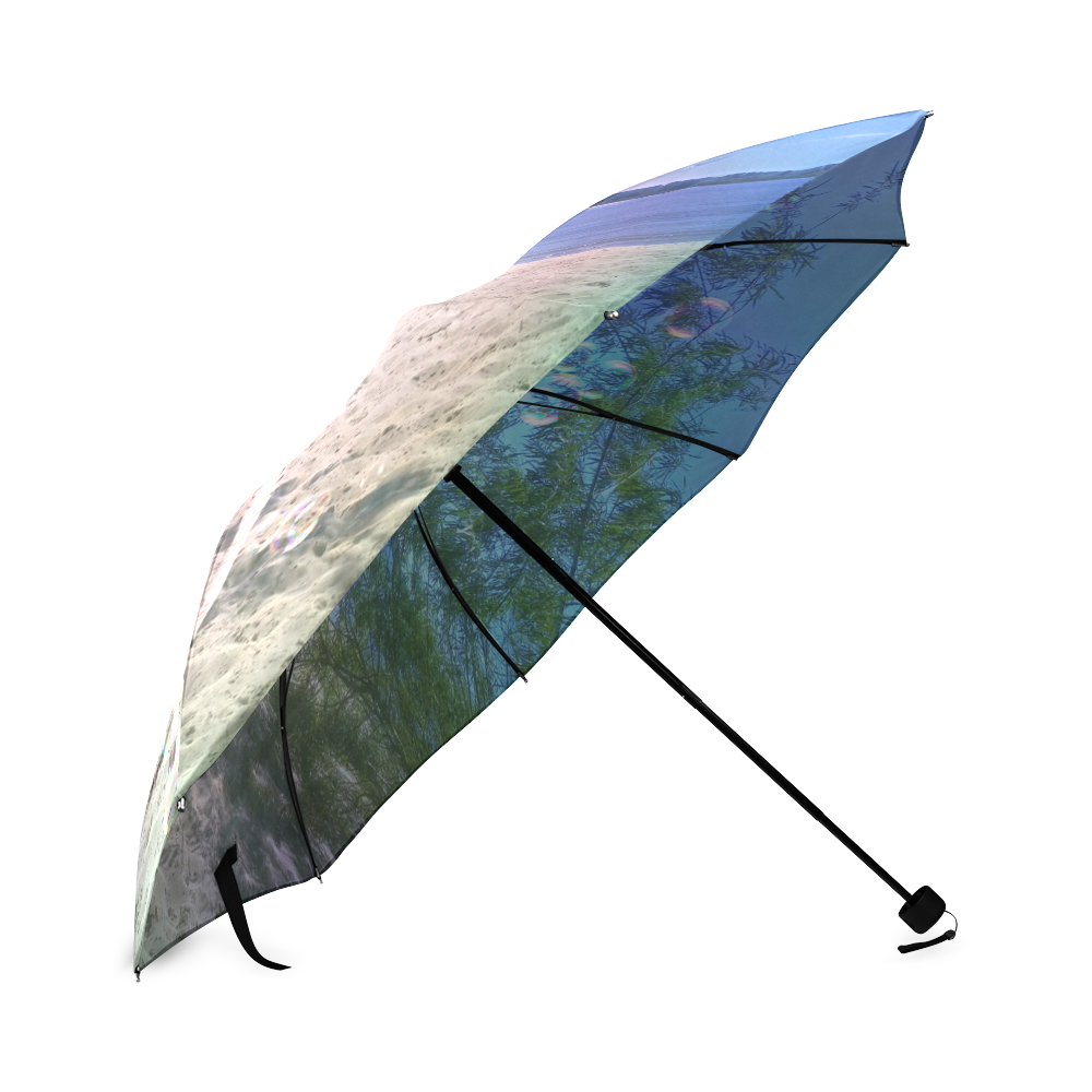 Little cute zebra Foldable Umbrella (Model U01)