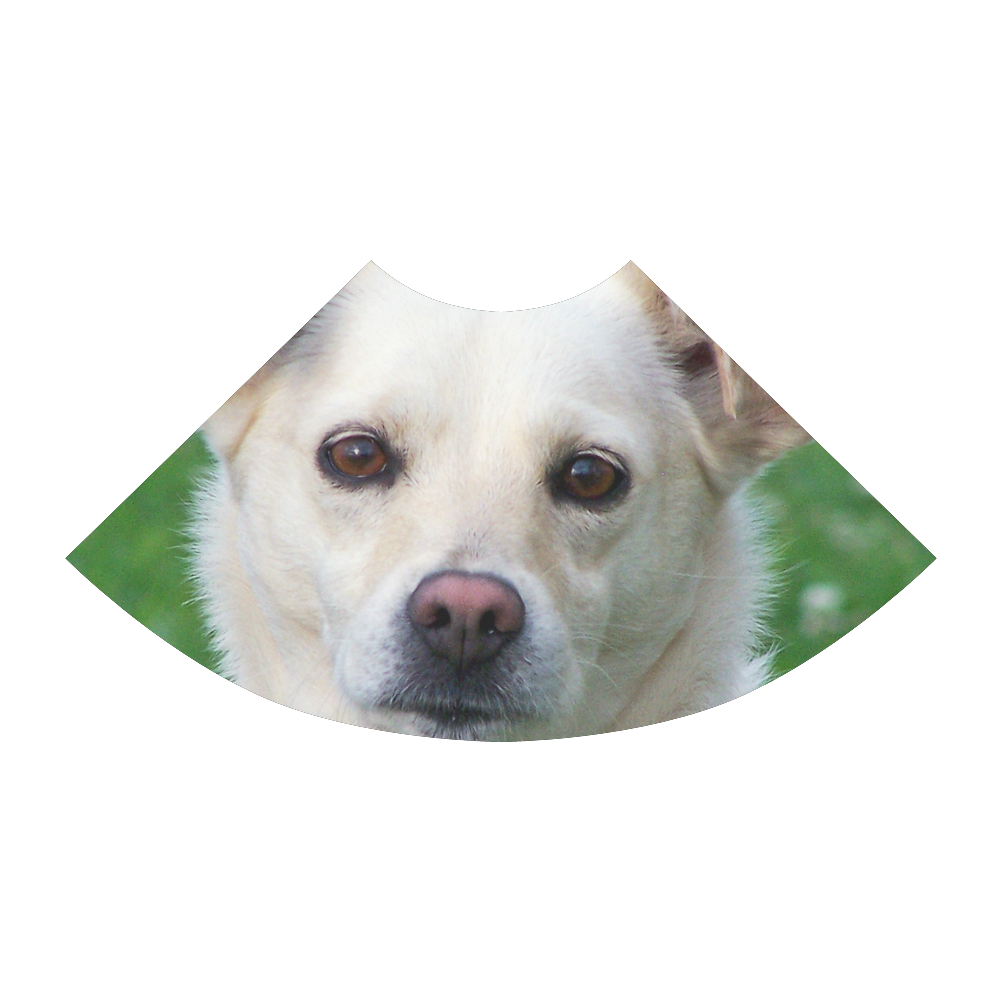 Dog face close-up Atalanta Sundress (Model D04)