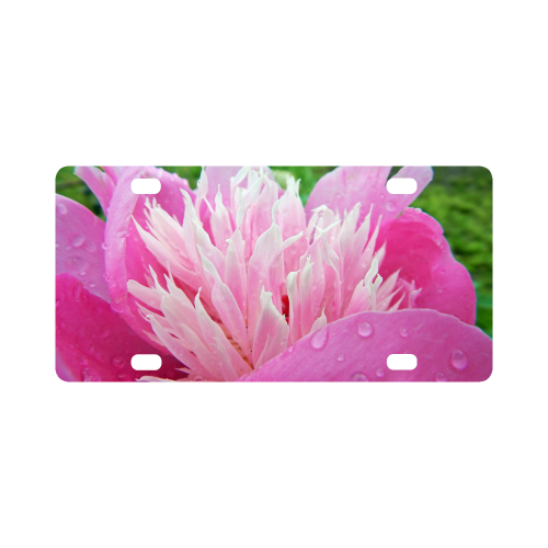 Wet Peony Classic License Plate