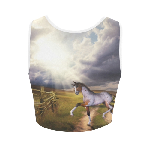 The Little cute Foal Women's Crop Top (Model T42)