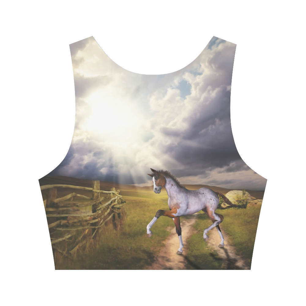 The Little cute Foal Women's Crop Top (Model T42)