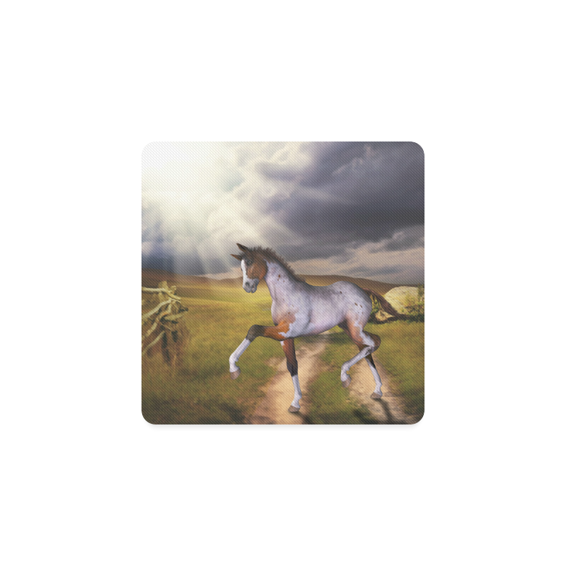 The Little cute Foal Square Coaster