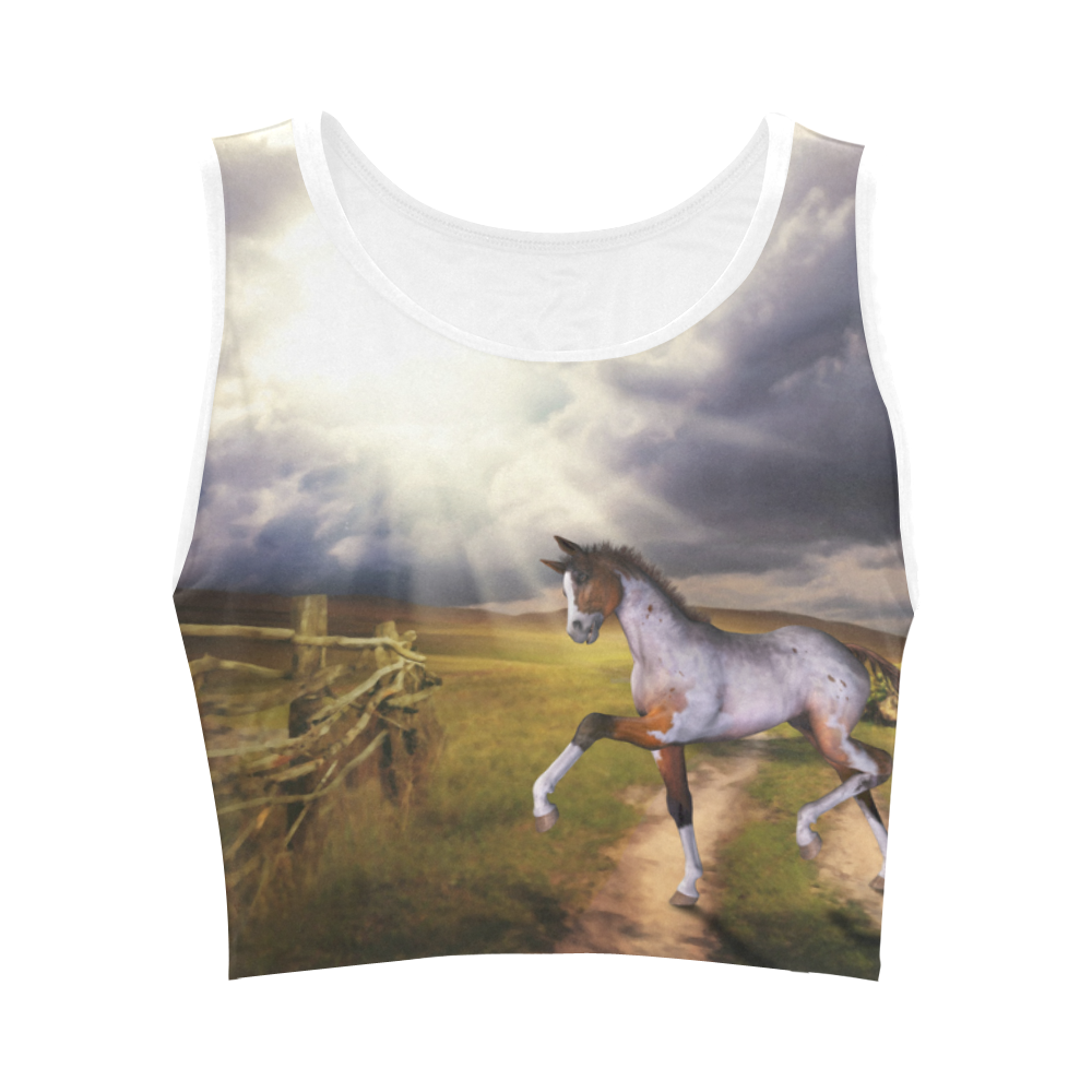 The Little cute Foal Women's Crop Top (Model T42)