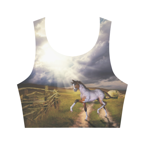 The Little cute Foal Women's Crop Top (Model T42)