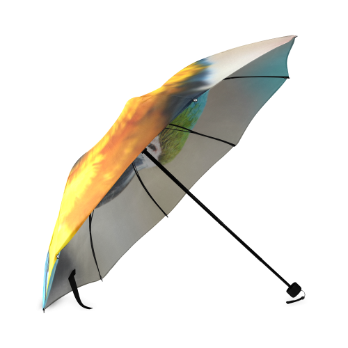 parrot_2015_0205 Foldable Umbrella (Model U01)