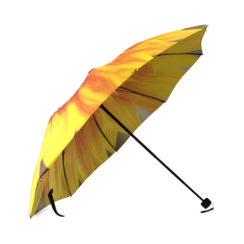 Beautiful Foldable Umbrella (Model U01)