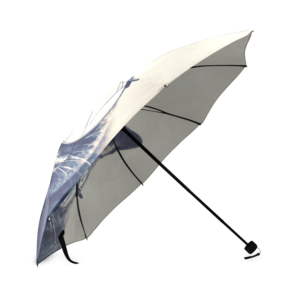 Cool Foldable Umbrella (Model U01)