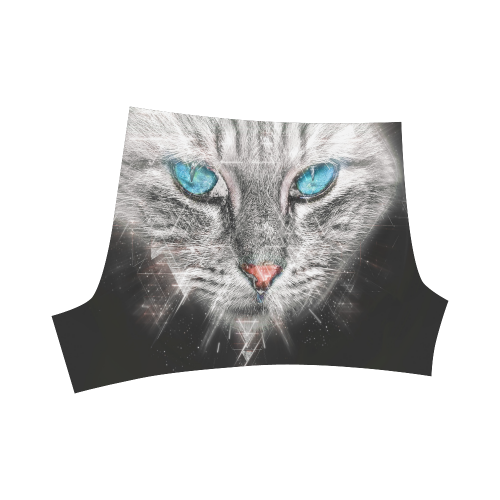 Silver Abstract Cat Face with blue Eyes Briseis Skinny Shorts (Model L04)