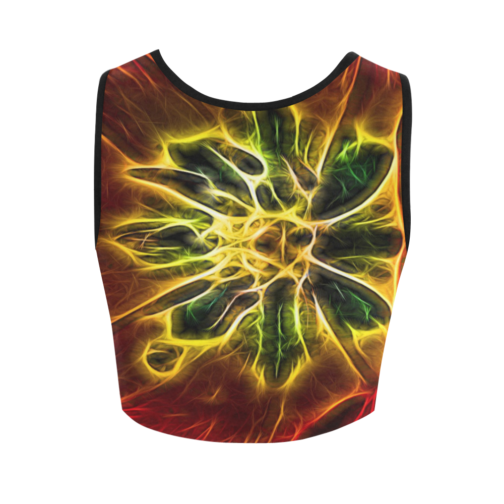 Topaz Flower Women's Crop Top (Model T42)