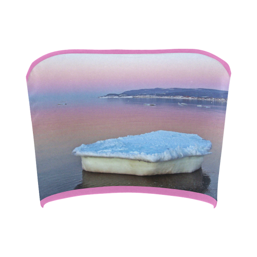 Ice Raft on the Sea Bandeau Top