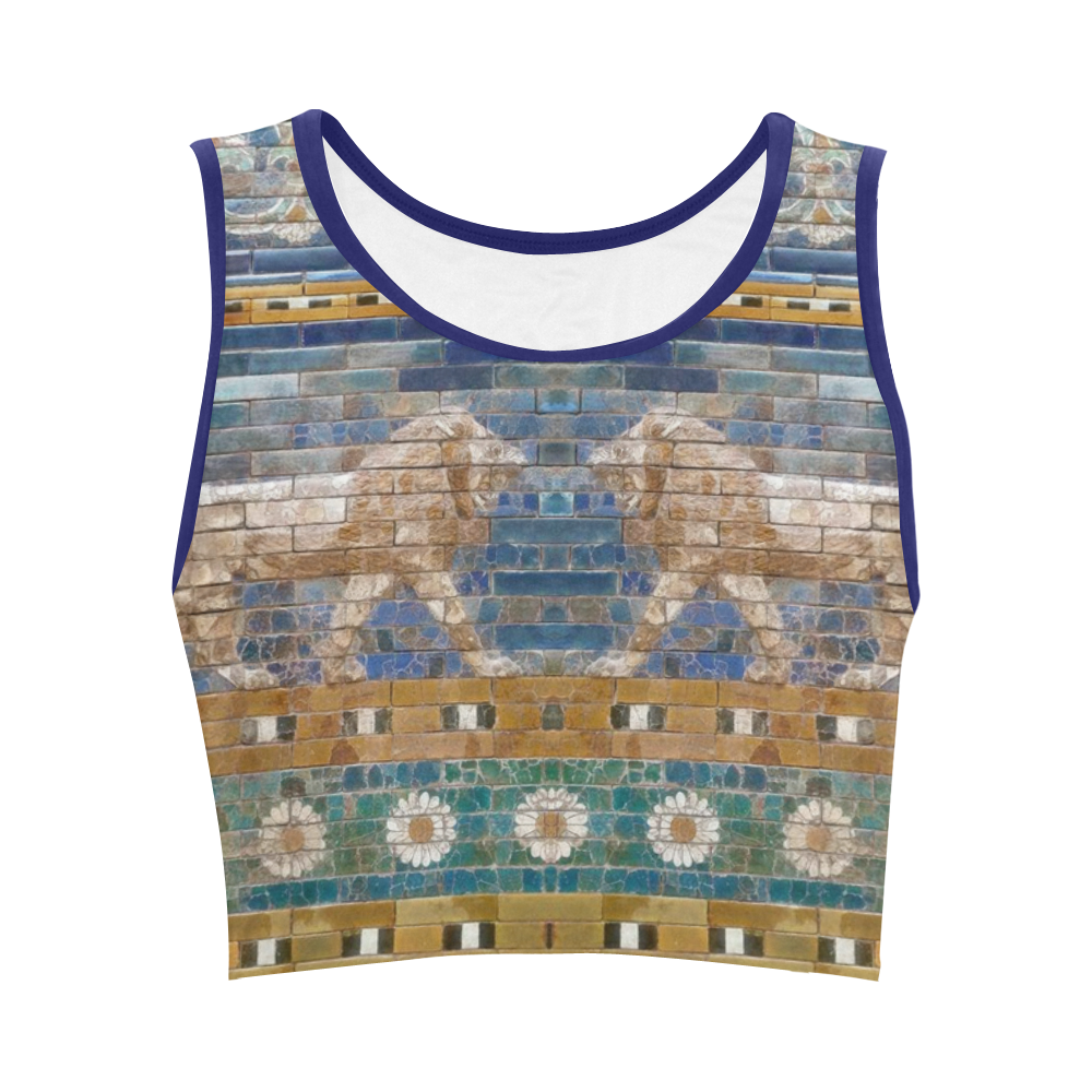 Two Lions And Daisis Mosaic Women's Crop Top (Model T42)
