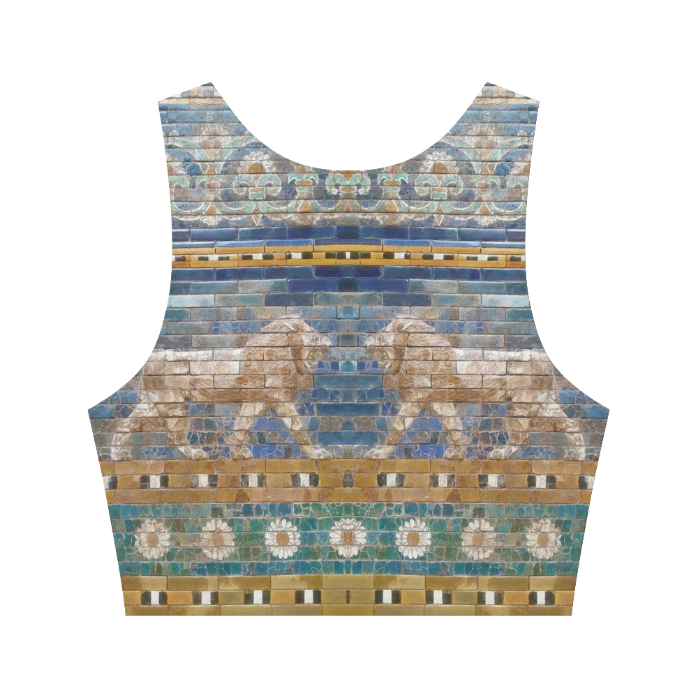 Two Lions And Daisis Mosaic Women's Crop Top (Model T42)