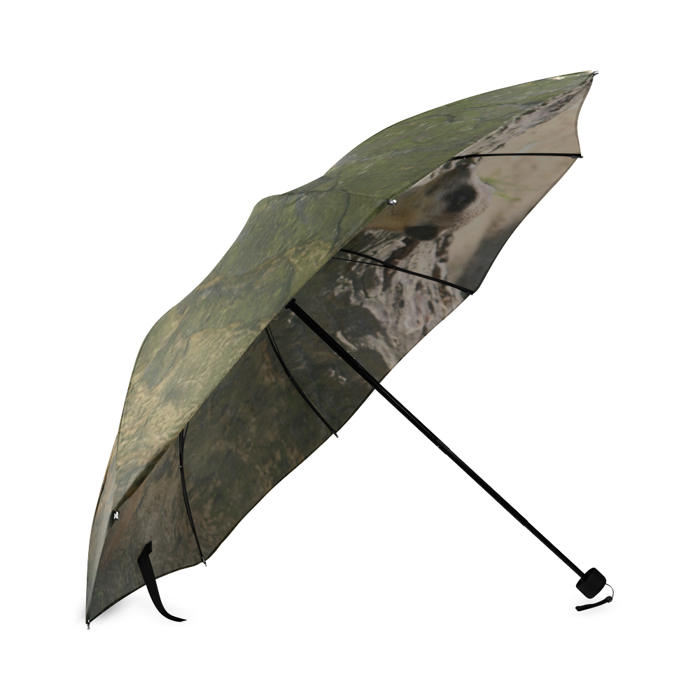 Meerkat Foldable Umbrella (Model U01)