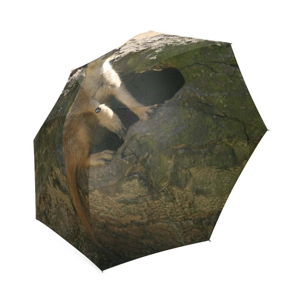 Meerkat Foldable Umbrella (Model U01)