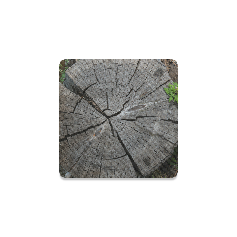 Dried Tree Stump Square Coaster