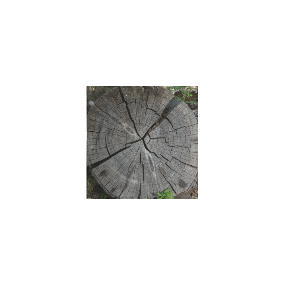 Dried Tree Stump Square Towel 13“x13”