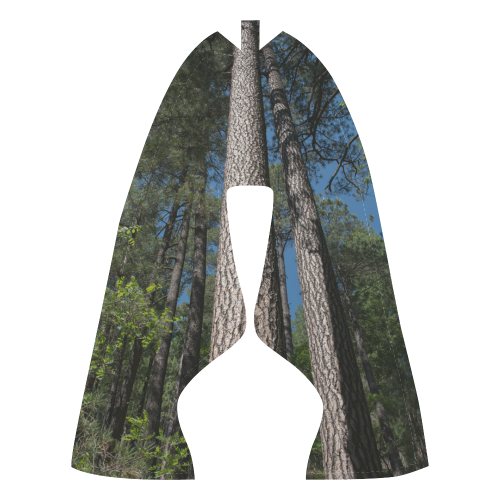 Tall Pine Trees Mt Lemmon Arizona Women’s Running Shoes (Model 020)