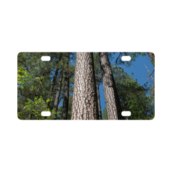 Tall Pine Trees Mt Lemmon Arizona Classic License Plate