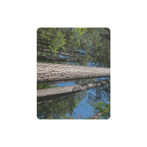 Tall Pine Trees Mt Lemmon Arizona Rectangle Mousepad