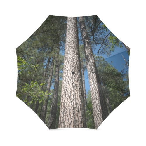 Tall Pine Trees Mt Lemmon Arizona Foldable Umbrella (Model U01)