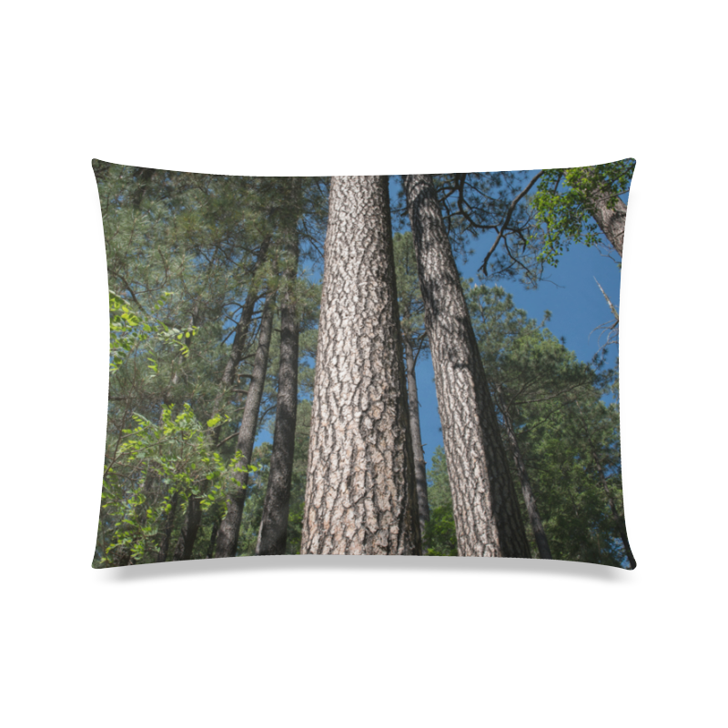 Tall Pine Trees Mt Lemmon Arizona Custom Zippered Pillow Case 20"x26"(Twin Sides)