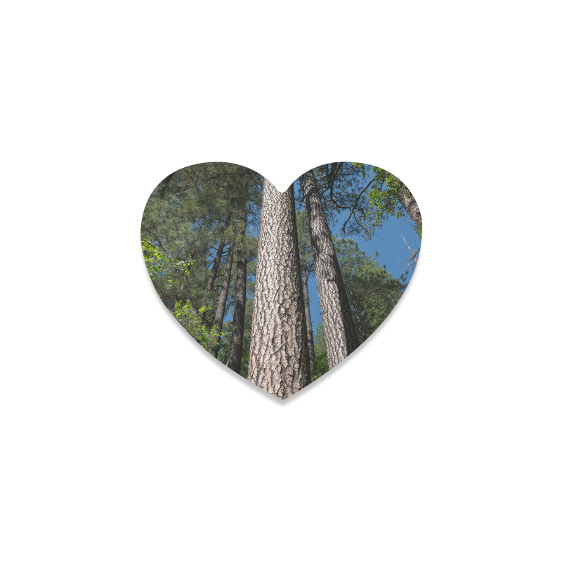 Tall Pine Trees Mt Lemmon Arizona Heart Coaster