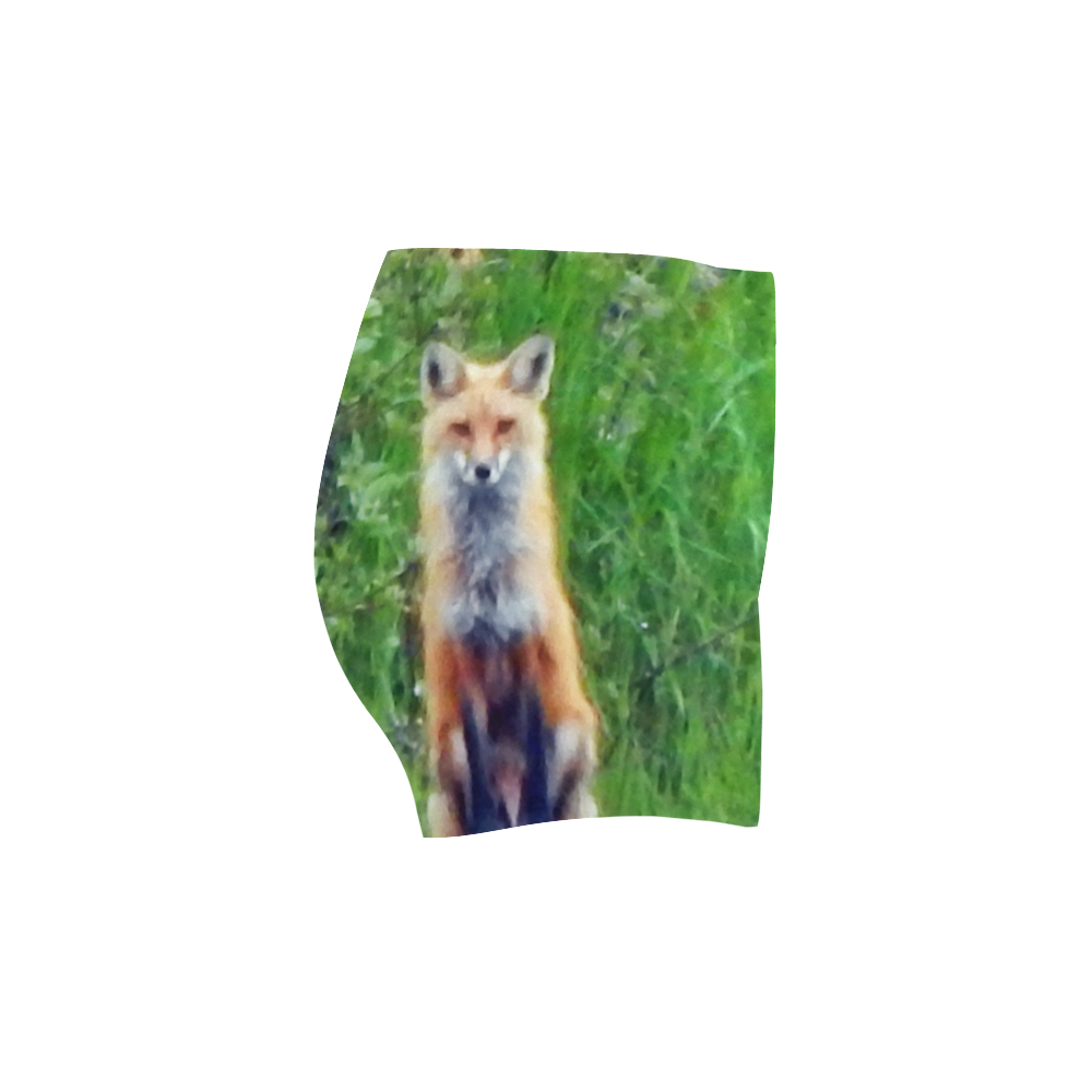 Red Fox Briseis Skinny Shorts (Model L04)