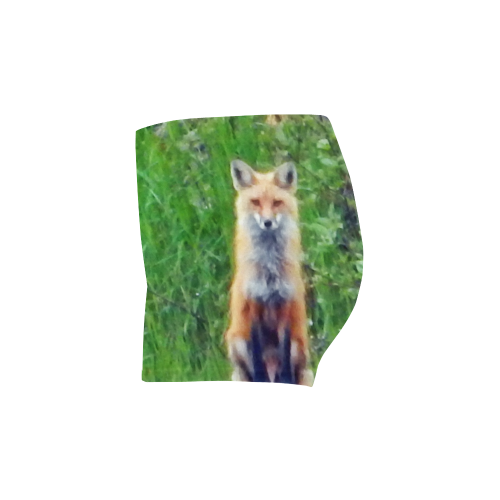 Red Fox Briseis Skinny Shorts (Model L04)