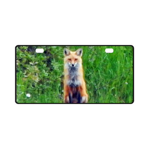 Red Fox License Plate