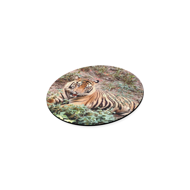 sumatran tiger Round Coaster