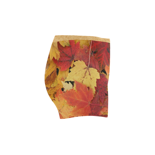 Autumn leaves Briseis Skinny Shorts (Model L04)