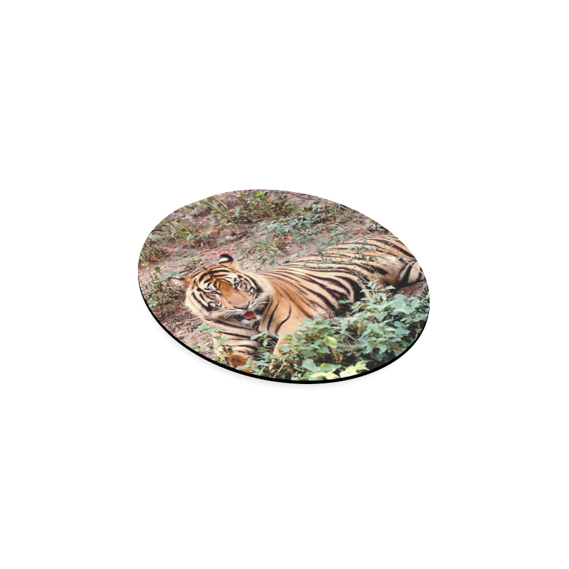 sumatran tiger Round Coaster
