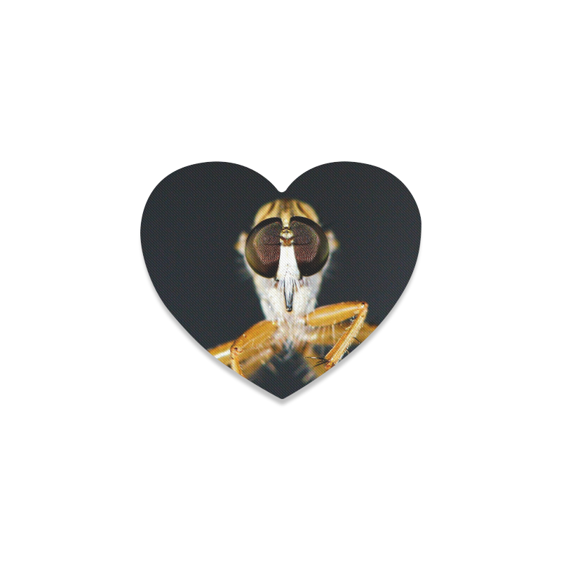 Close up macro of a Robber Fly - Efferia albibarbis Heart Coaster
